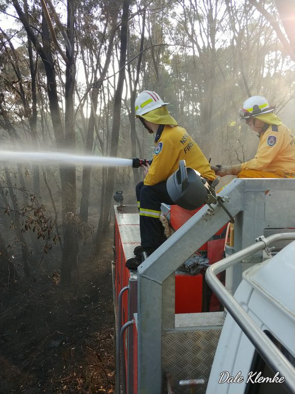 Tristan Anlezark - Data Analyst | Volunteer Firefighter