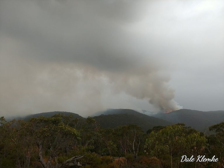 Tristan Anlezark - Data Analyst | Volunteer Firefighter